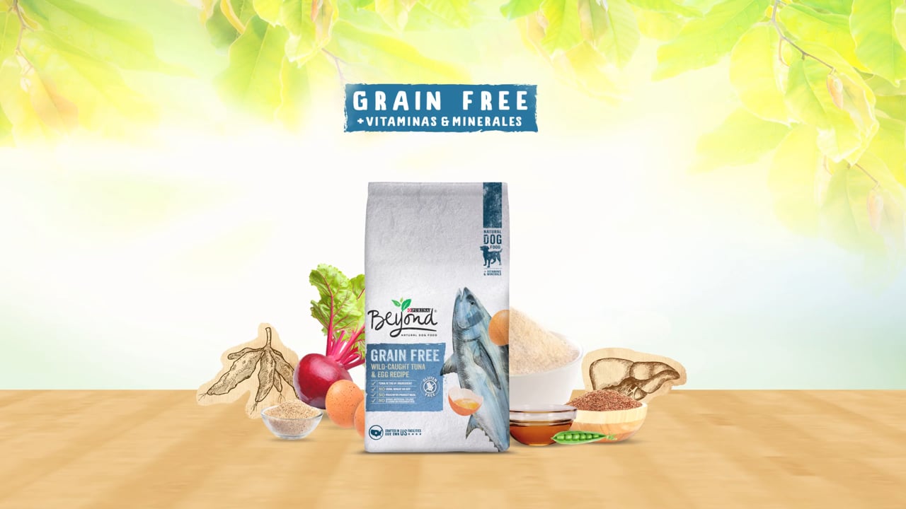 PURINA BEYOND GRAIN FREE