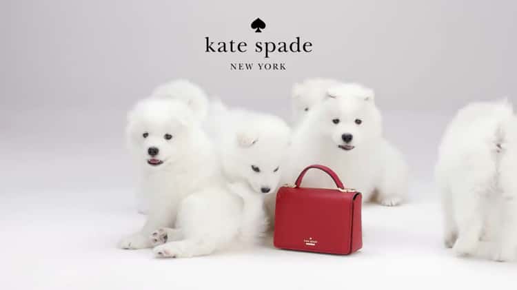 Kate spade sale holiday bag