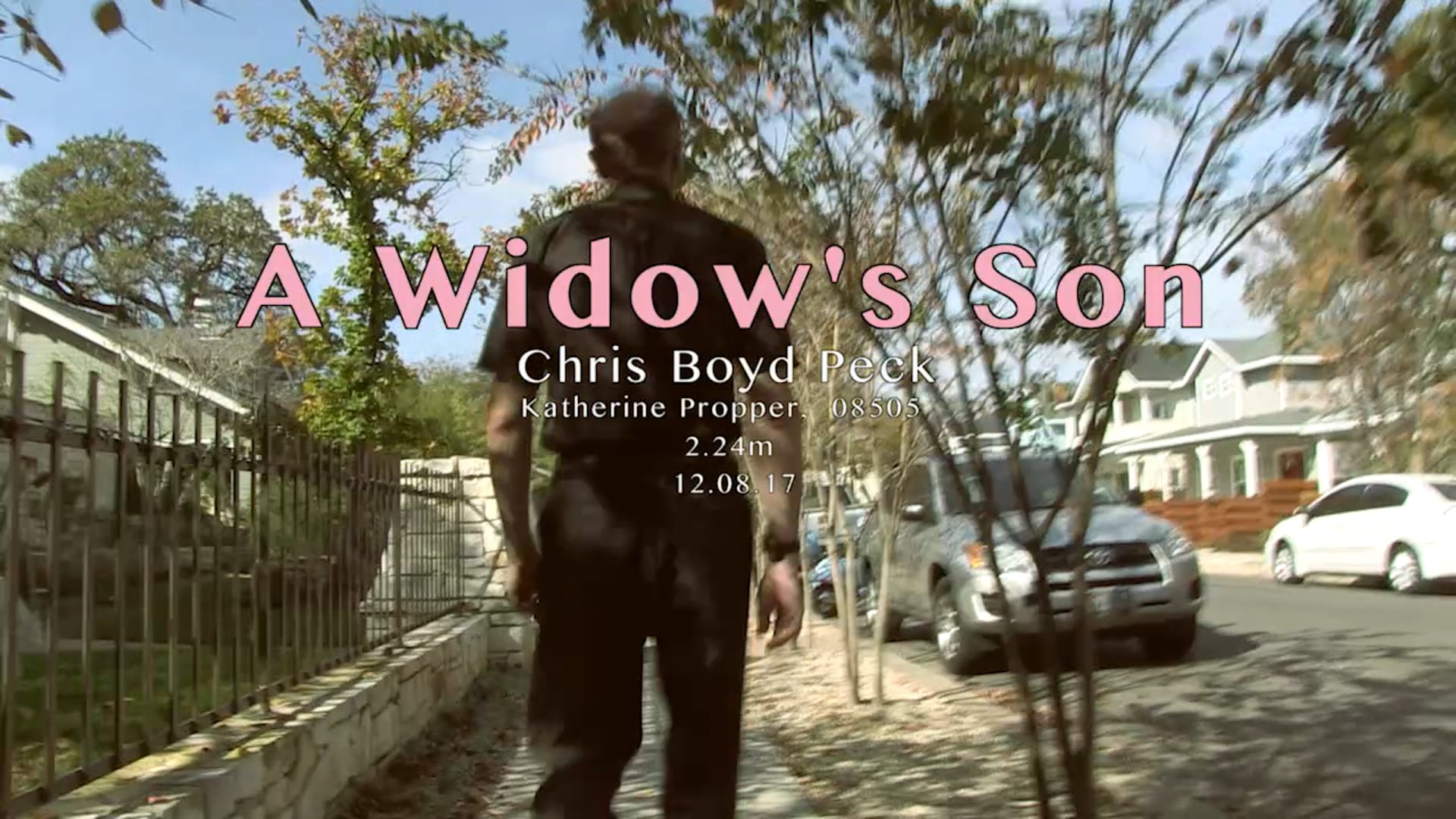 A Widow's Son