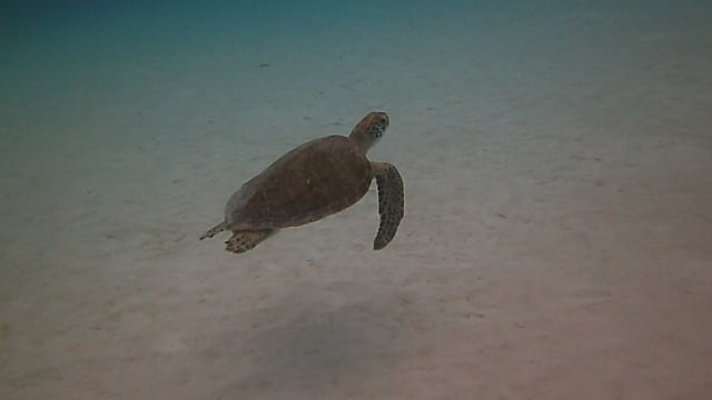 PICT0138