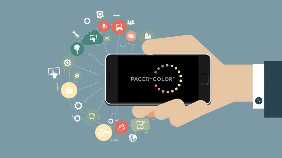Understanding Pacebycolor 2022