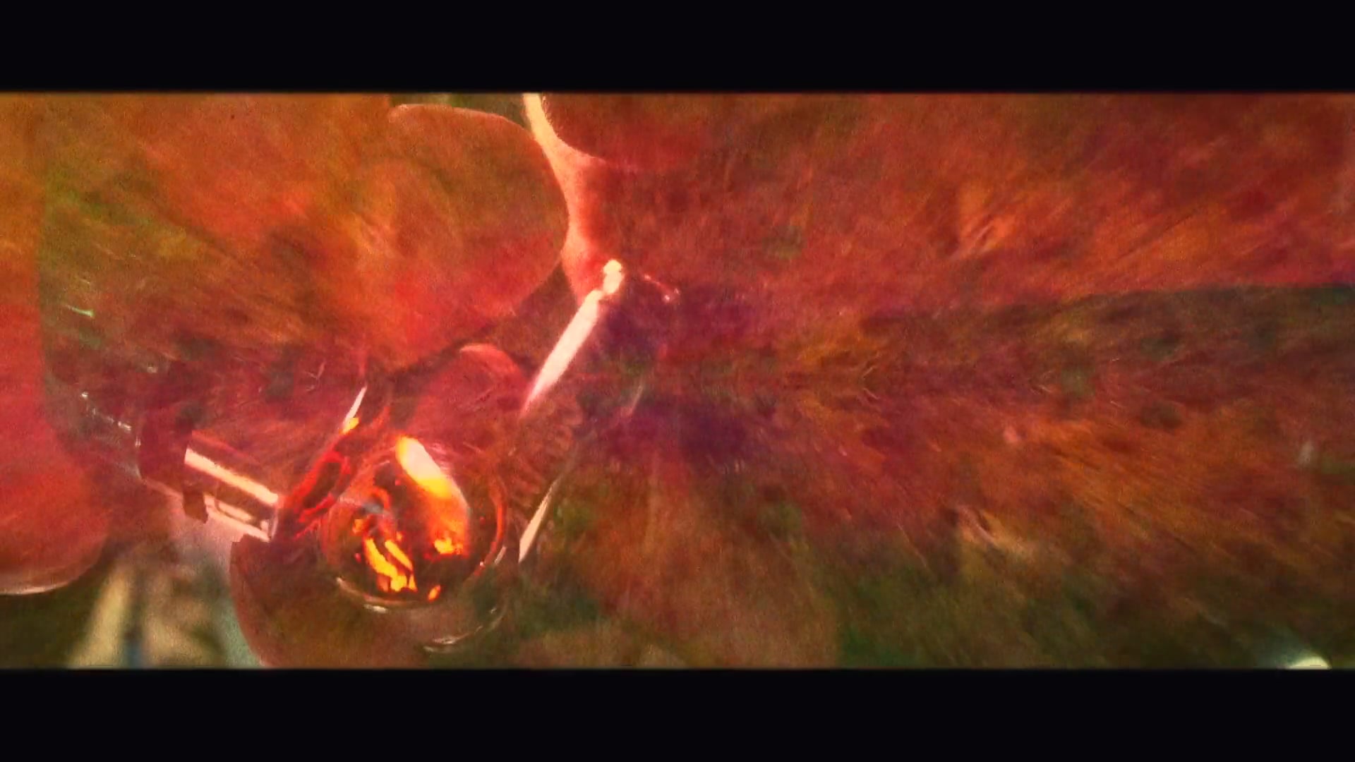 The Experimental Tropic Blues Band - Baby Bamboo (Official Video) HD