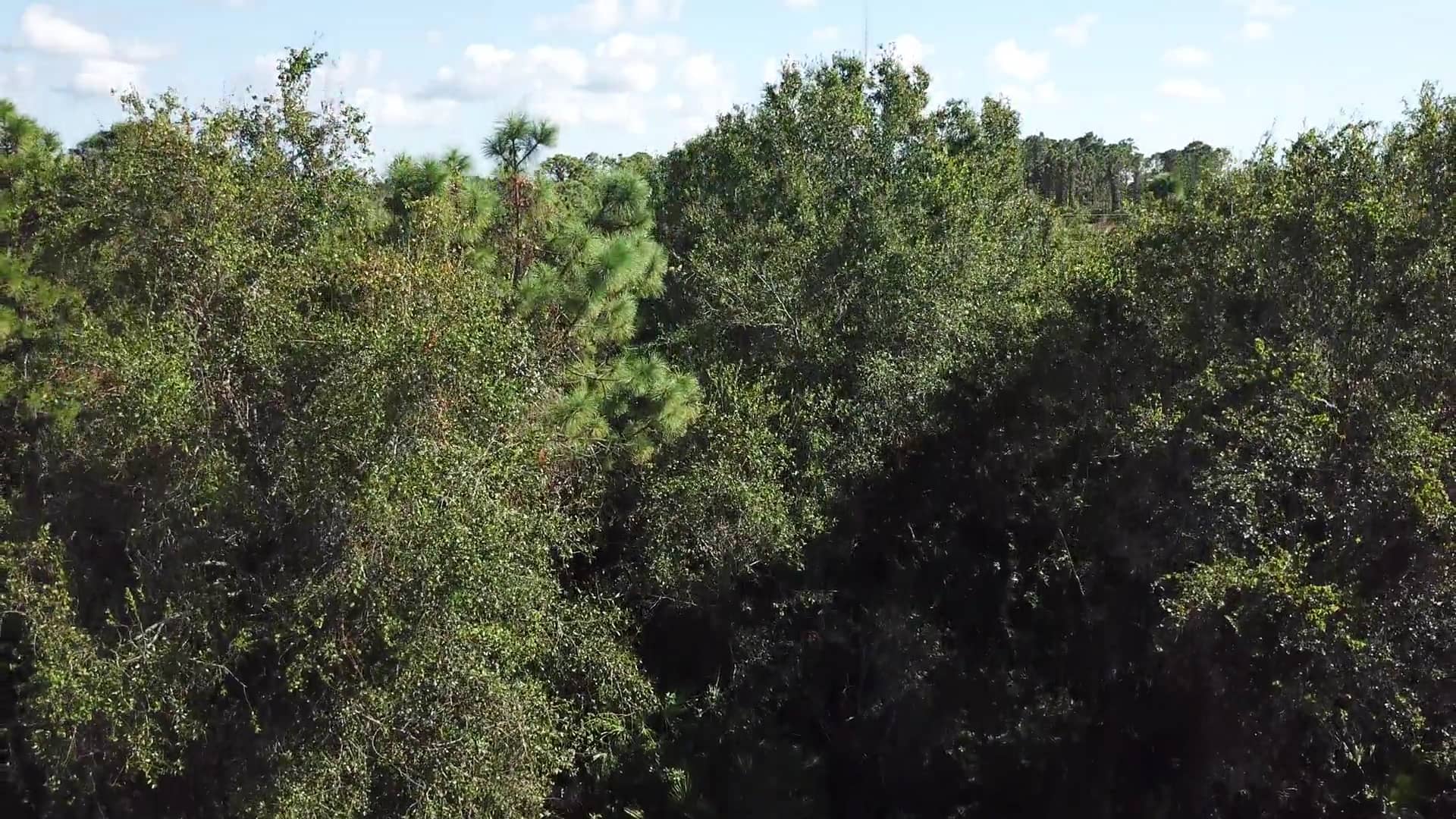 homes in Rotonda Lakes on Vimeo