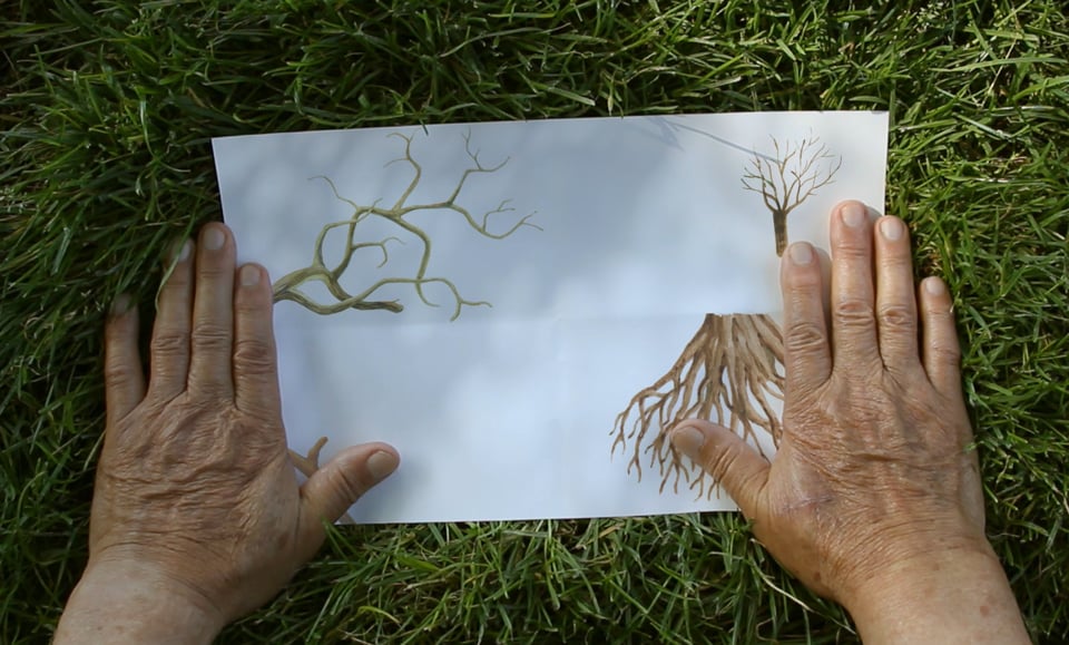 Screenshot of Le temps de l’arbre (The hours of tree)