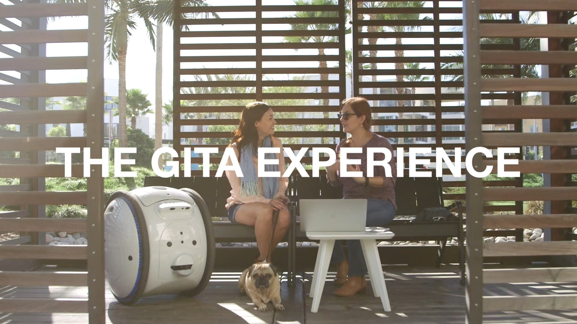 THE GITA EXPERIENCE