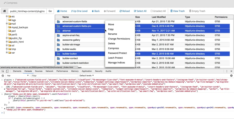Using JS to Compress WordPress Plugins in cPanel