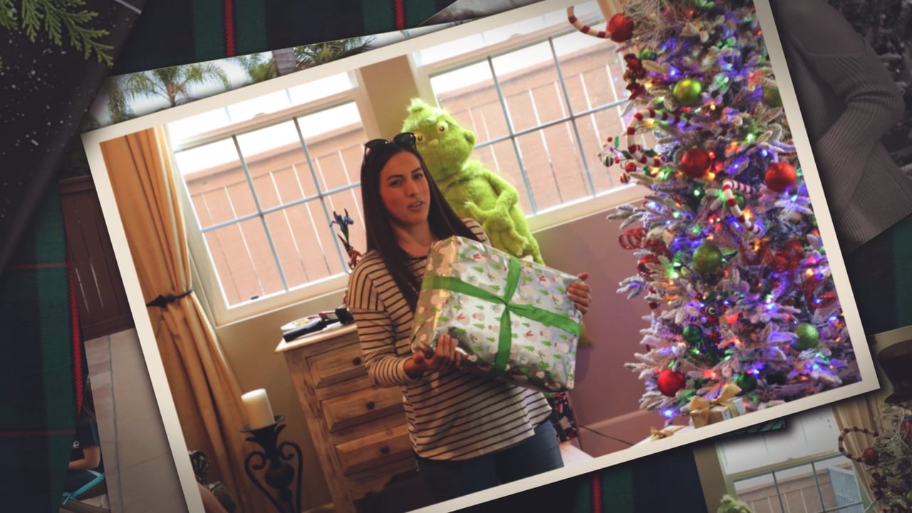 2017 SAI Holiday Support Group