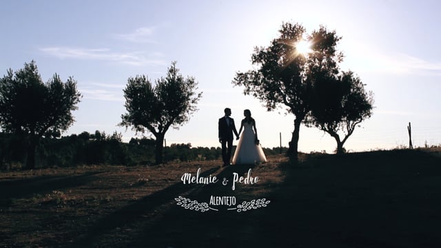 Amor de Sempre ♡ Melanie & Pedro Wedding Trailer