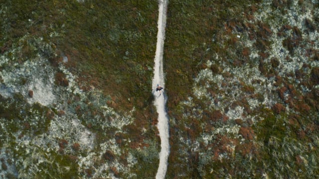 Bakkedal "Treadmill"