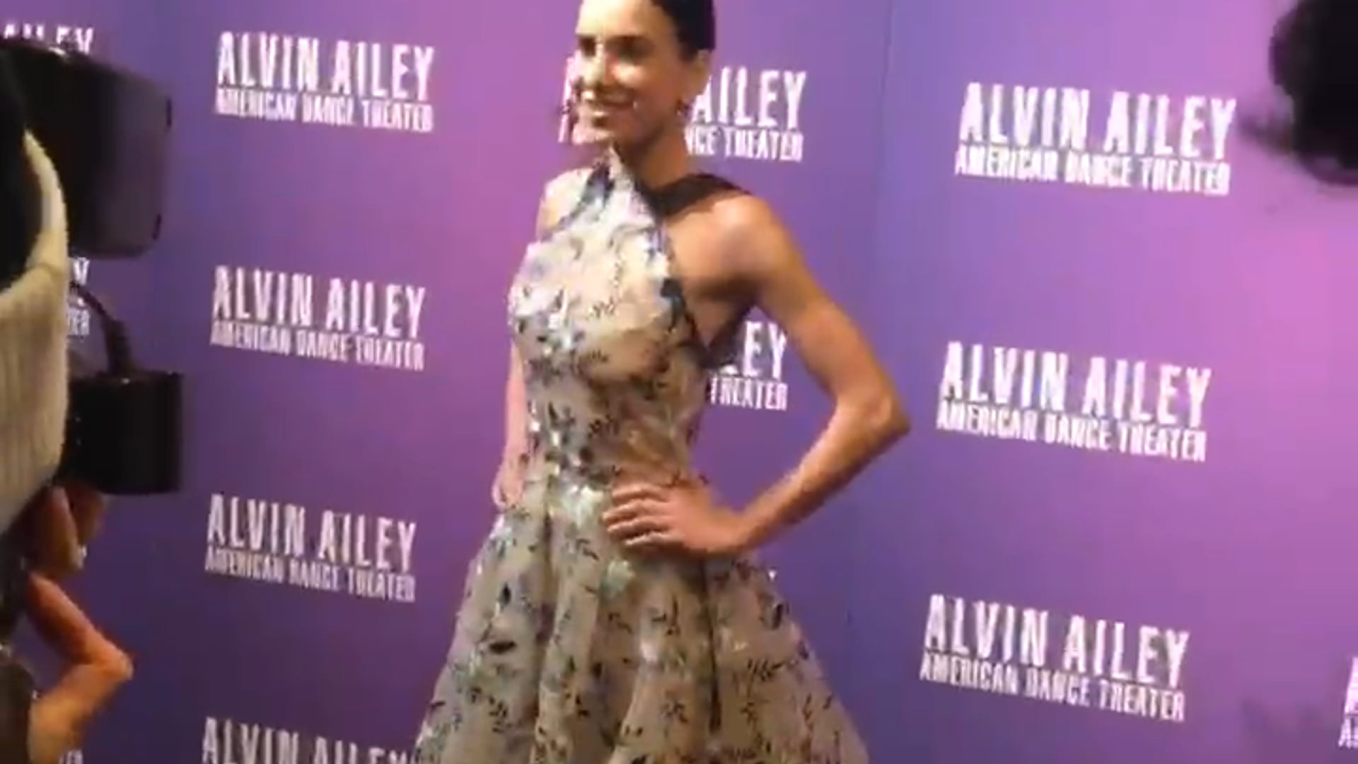 Red Carpet - Alvin Ailey Gala