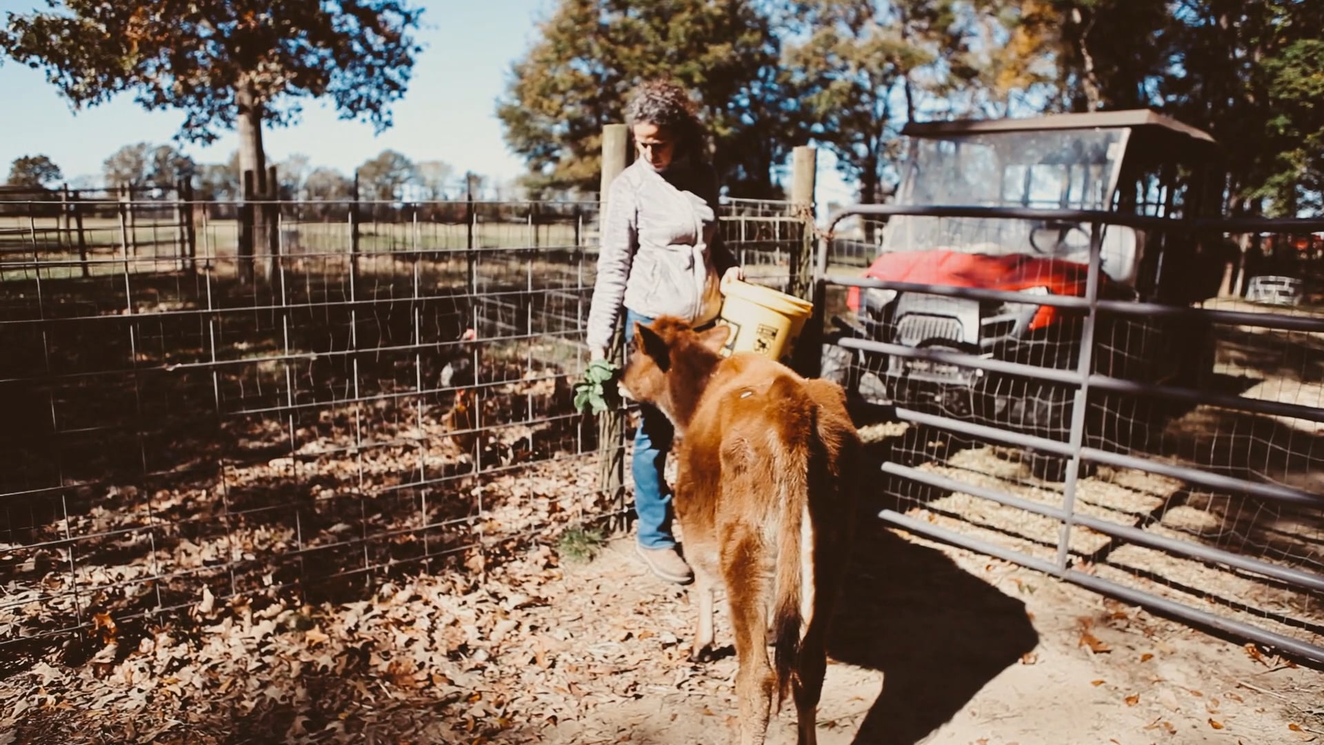 Smith Family & Sanctuary Farms