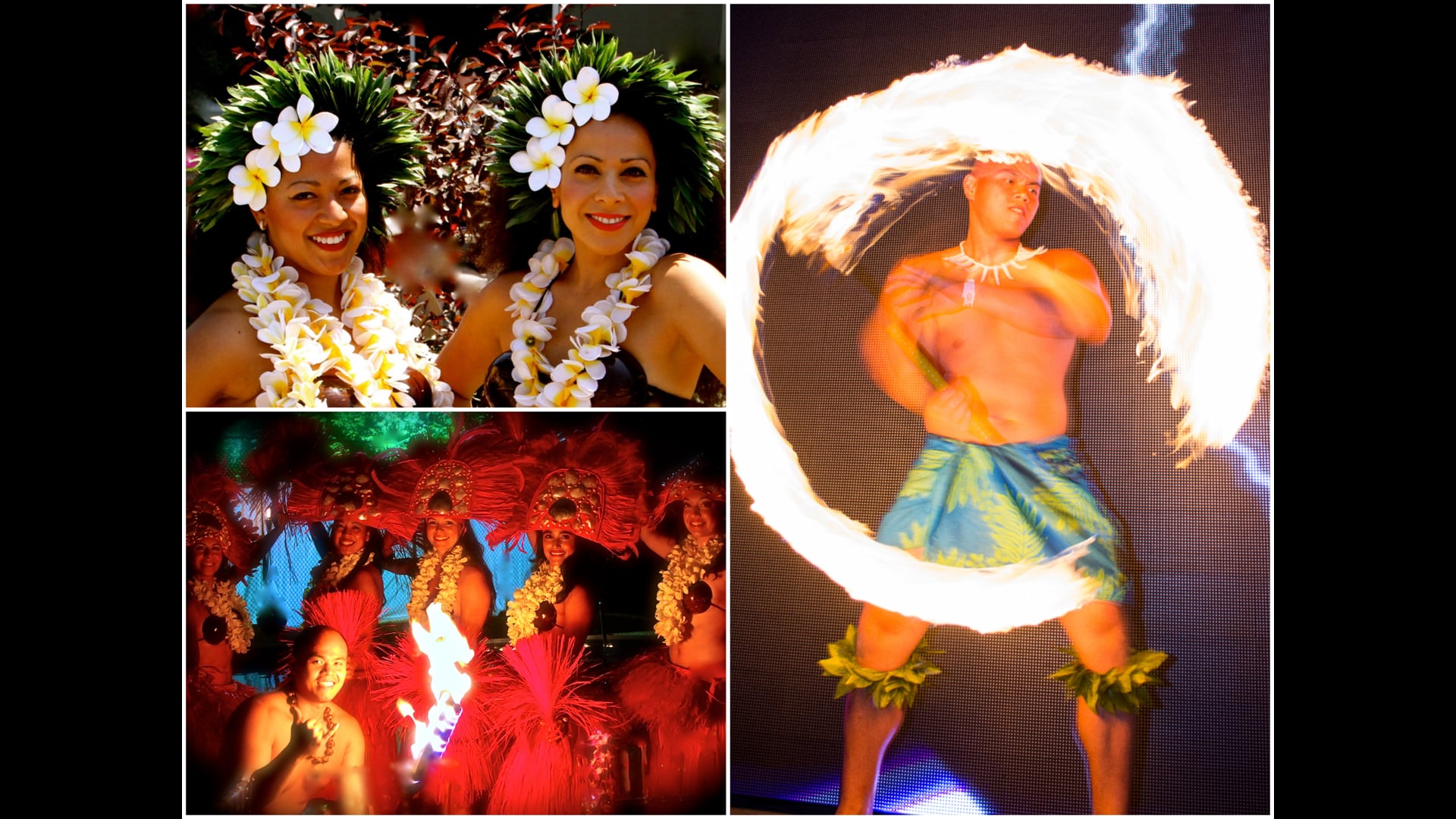 Promotional video thumbnail 1 for The Hawaiian Dance Company