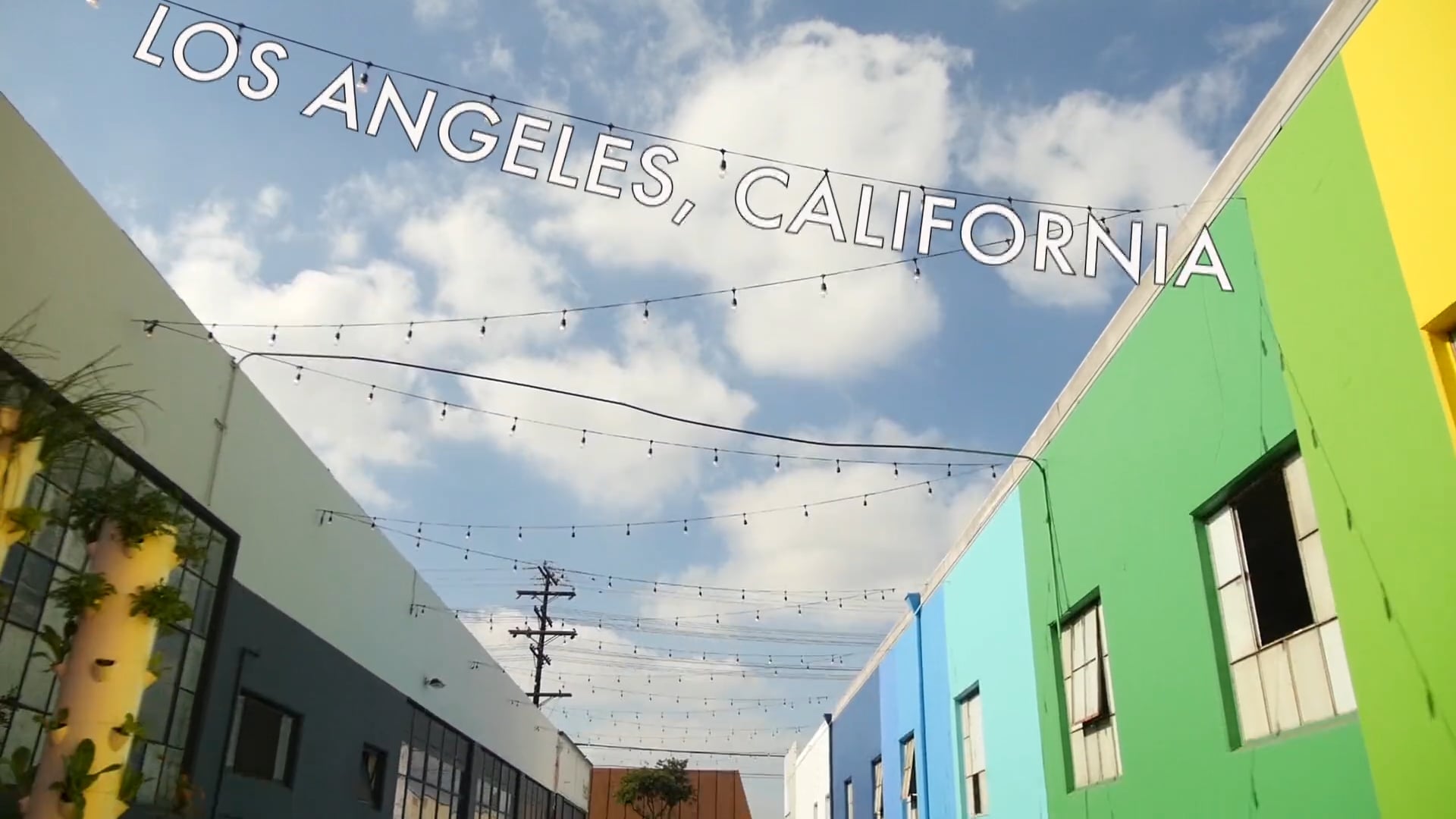 True Treps: Hedley & Bennet, Los Angeles CA