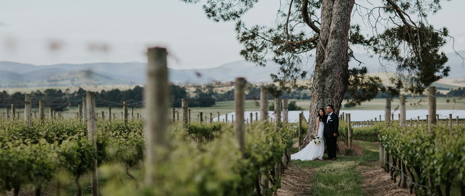 Cuong & Bella Wedding Video Filmed at Yarra Valley, Victoria