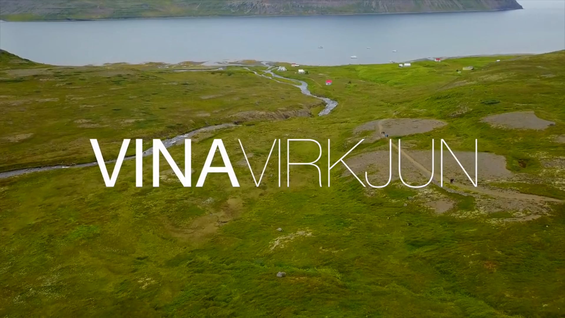 VINAVIRKJUN