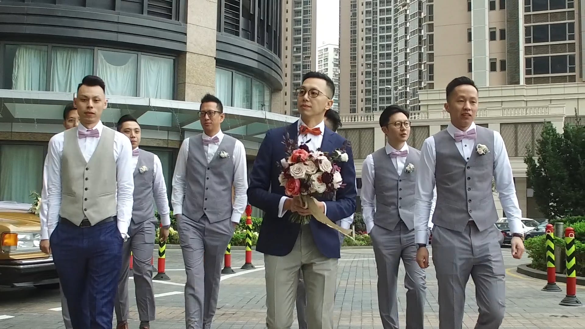 Stella & Stanley's SDE