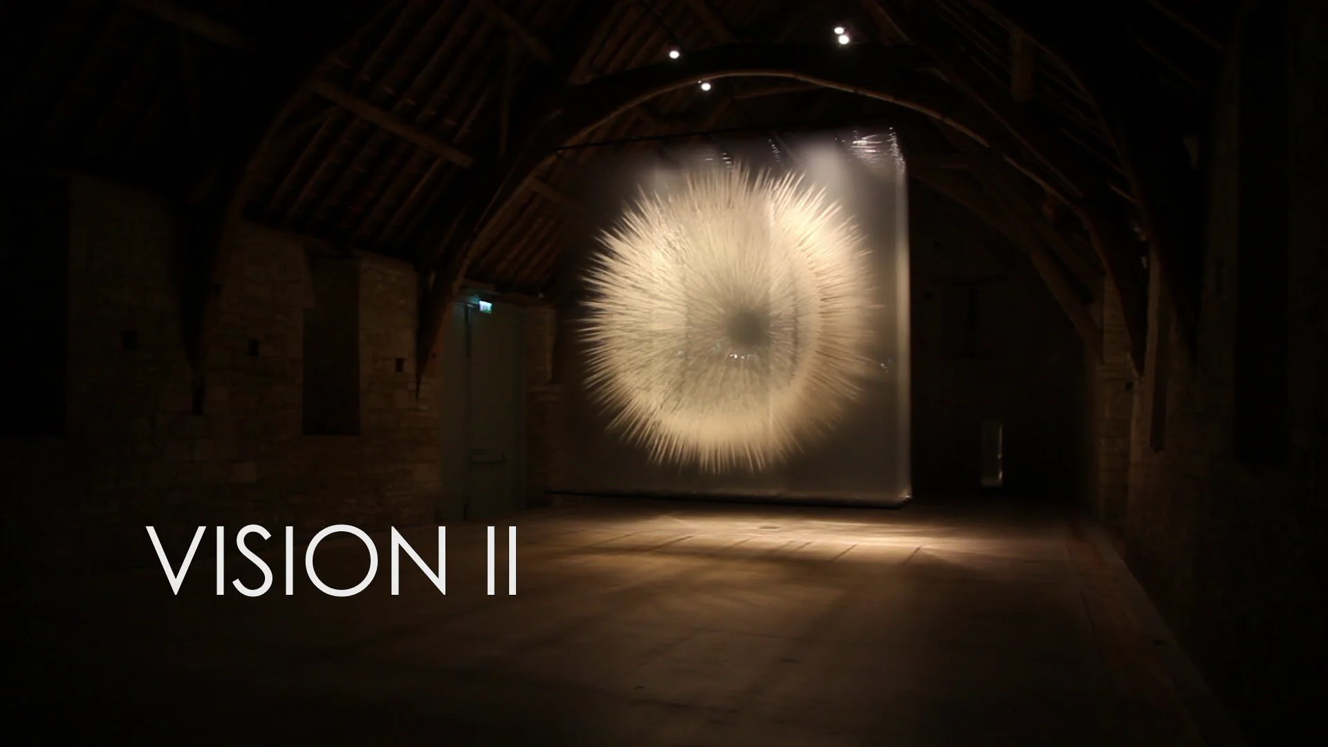 David Spriggs, Vision II film still