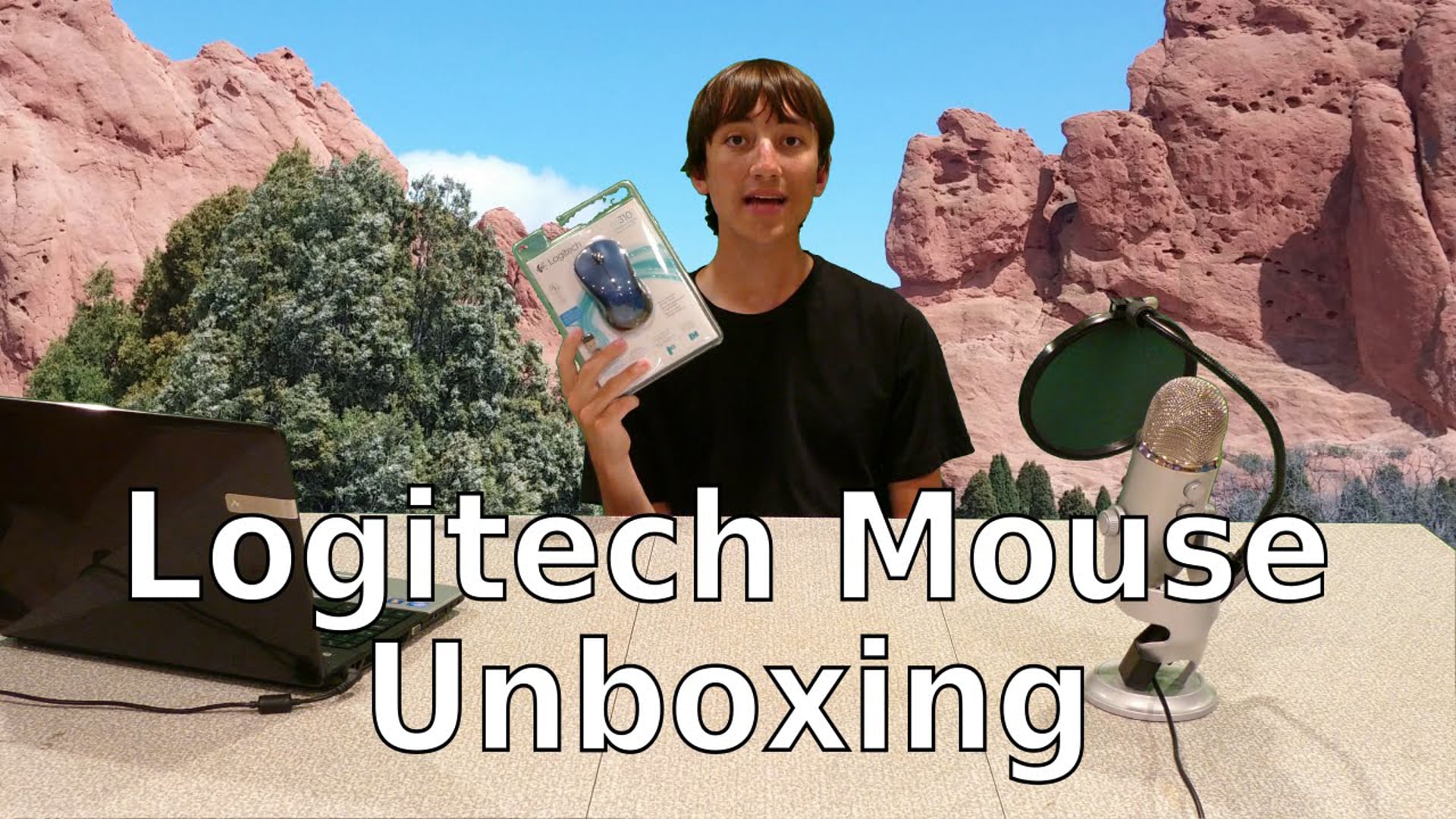 Logitech Wireless Mouse M310 Unboxing