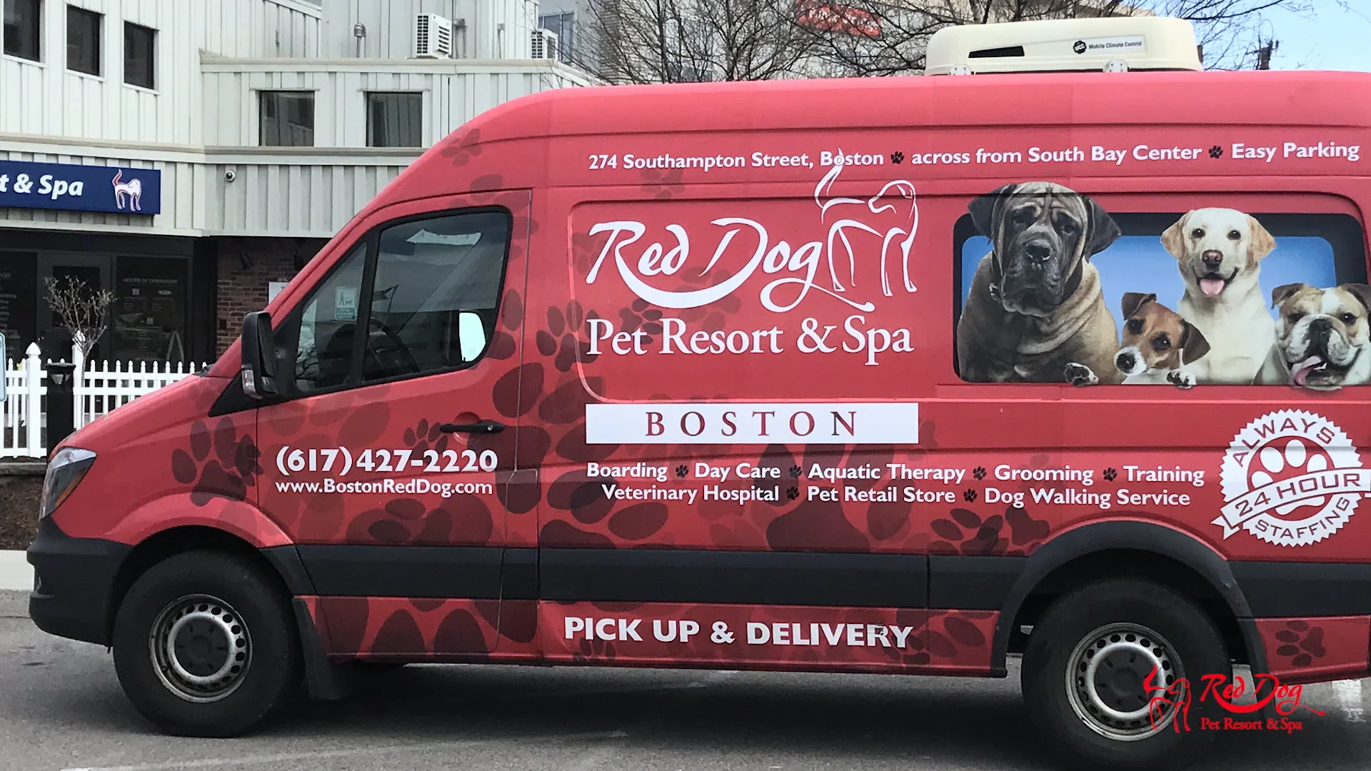 Red sales dog boarding