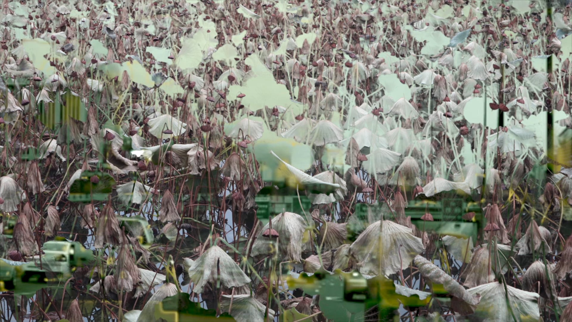 STUDENT WORK FROM ALIART SCHOLL