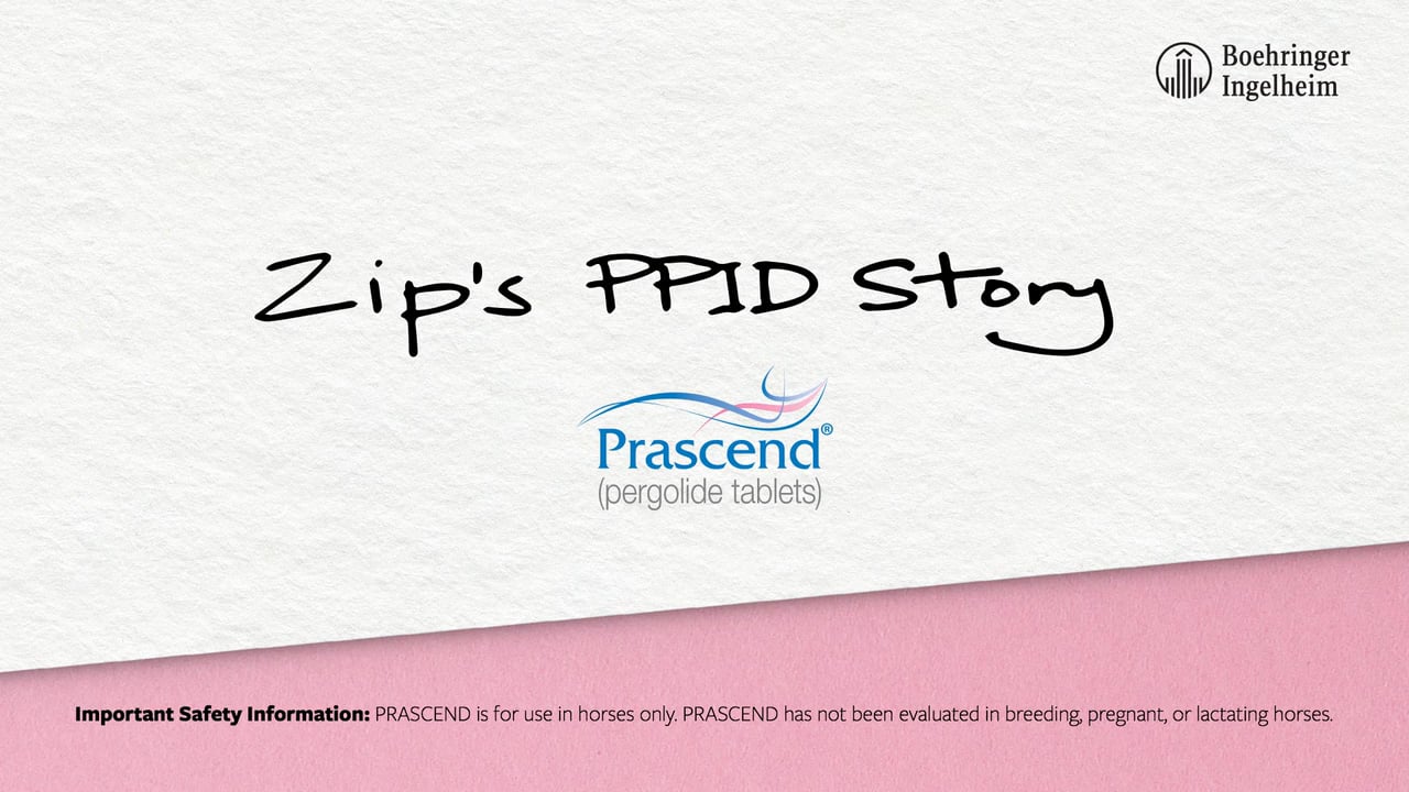 7912 - Zip's PPID Story Final