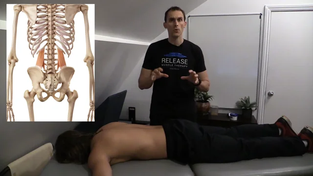 QL CLAW - Lower Back Muscle Release Device