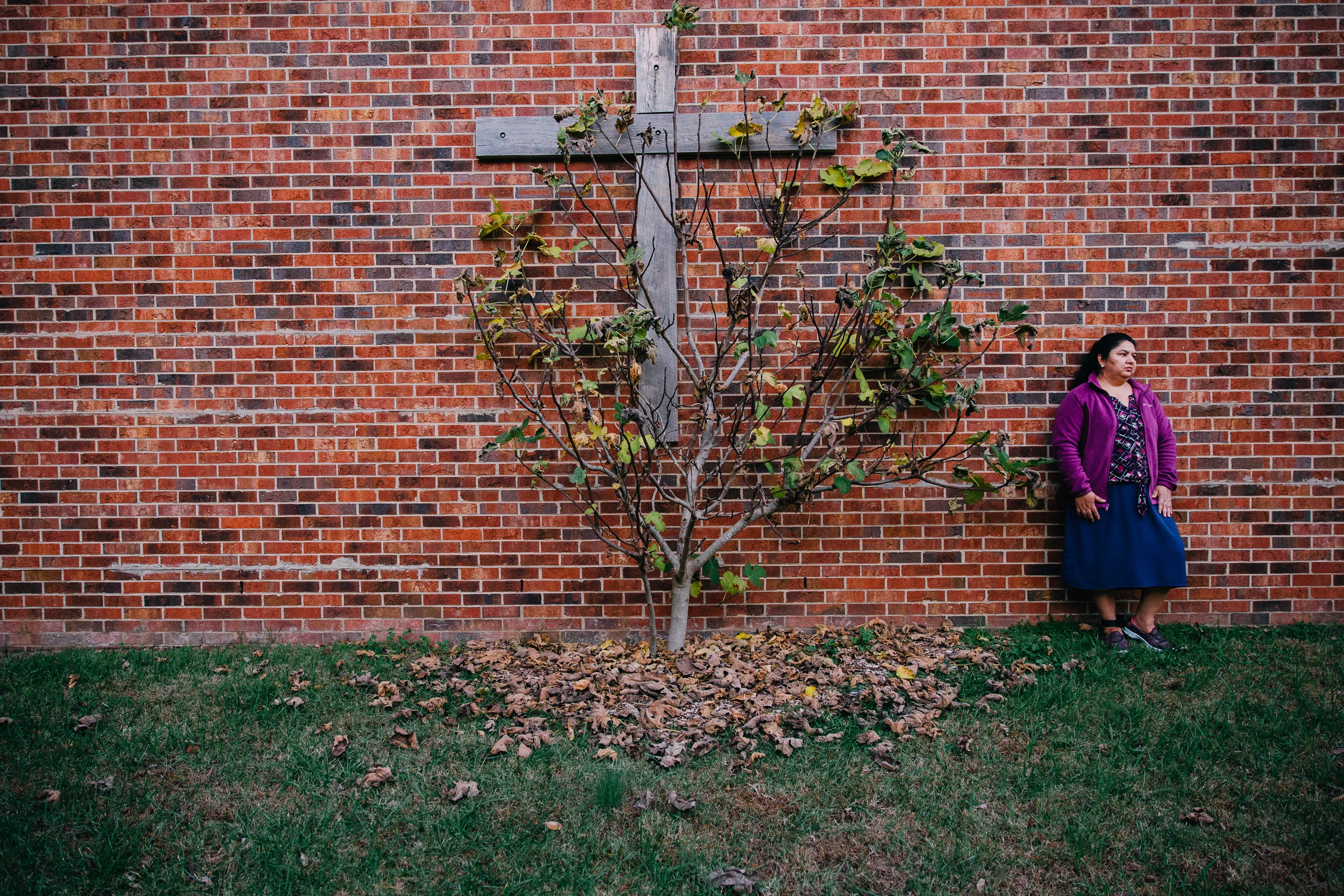 Watch Santuario Online |   On Demand  
