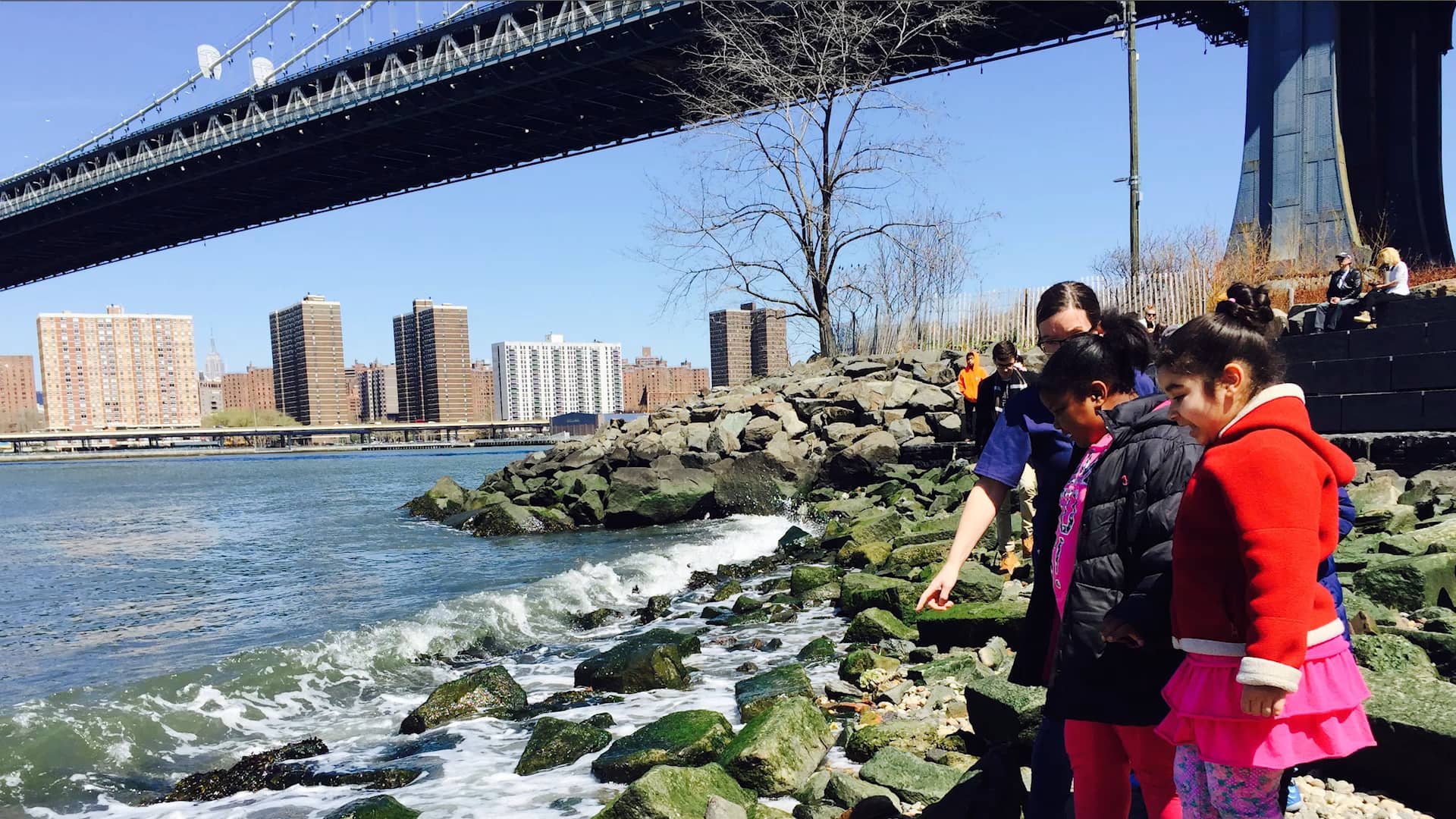 P.S. 307 Daniel Hale Williams School on Vimeo