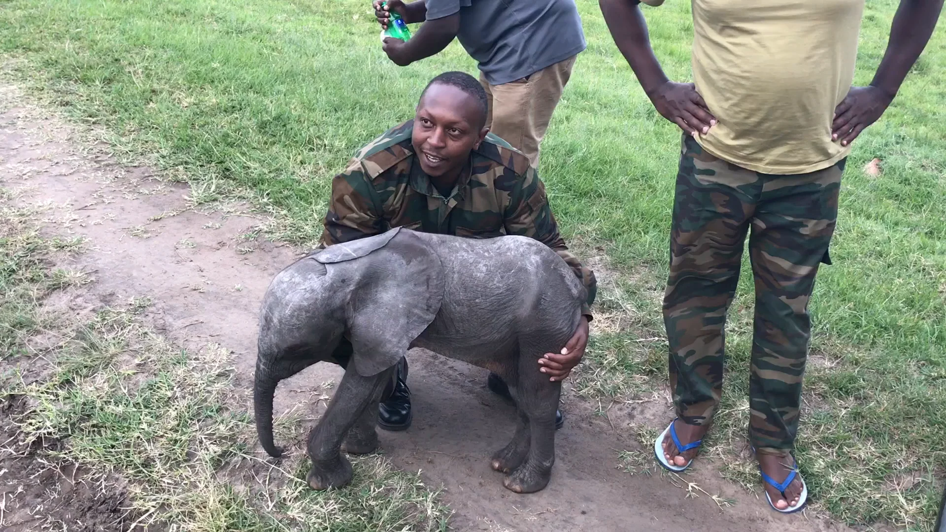 Baby Elephant Helicopter Rescue - Mara Elephant Project