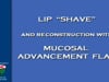 Dr Stephan Ariyan - LIP SHAVE MUCOSAL FLAP- 10min- 2004