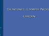 Dr Stephan Ariyan - SENTINEL LYMPH NODE-GROIN- 12min- 2004