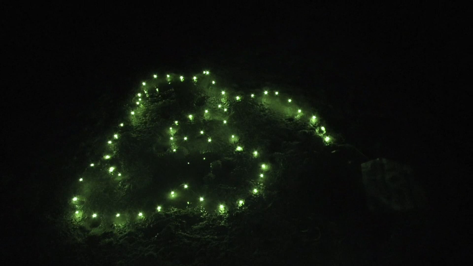 MidnightCrab1_32x
