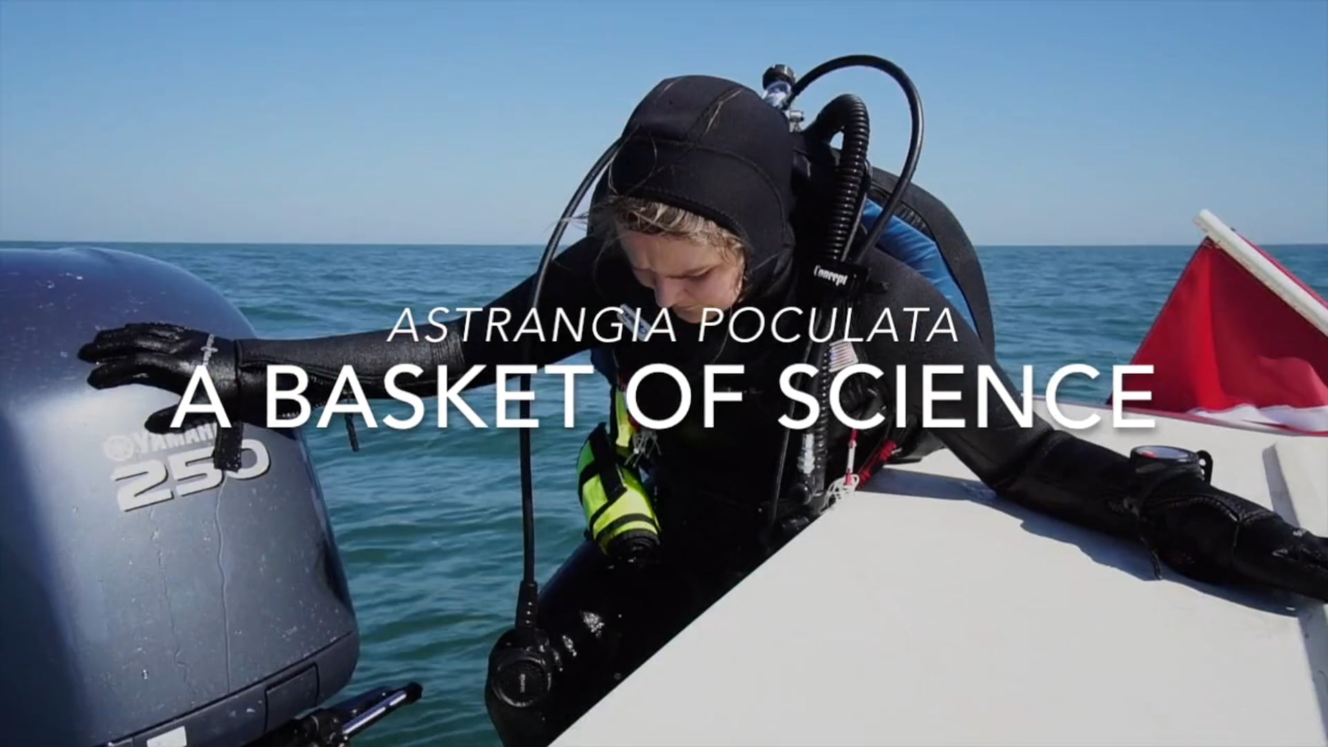 A Basket of Science