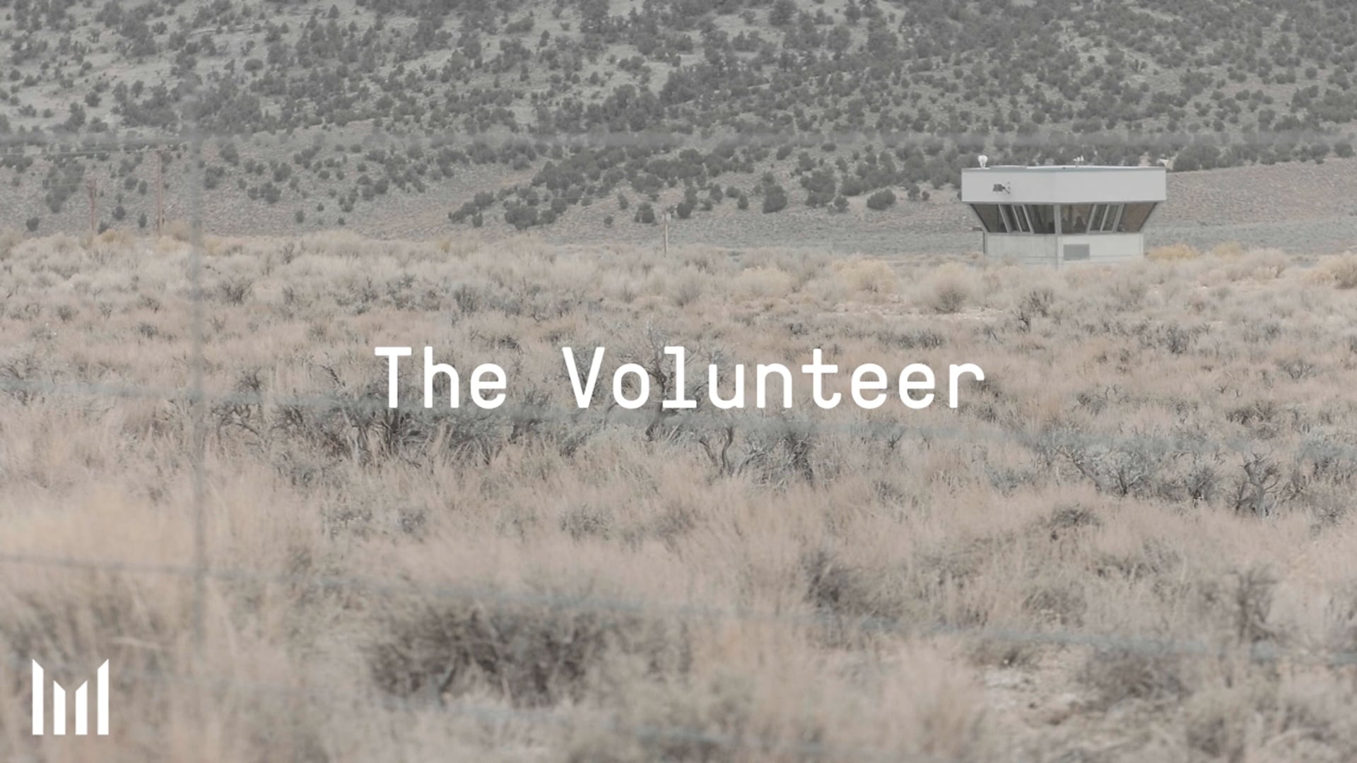 THE VOLUNTEER / THE HIVE