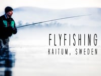 Flyfishing Kaitumriver Sweden