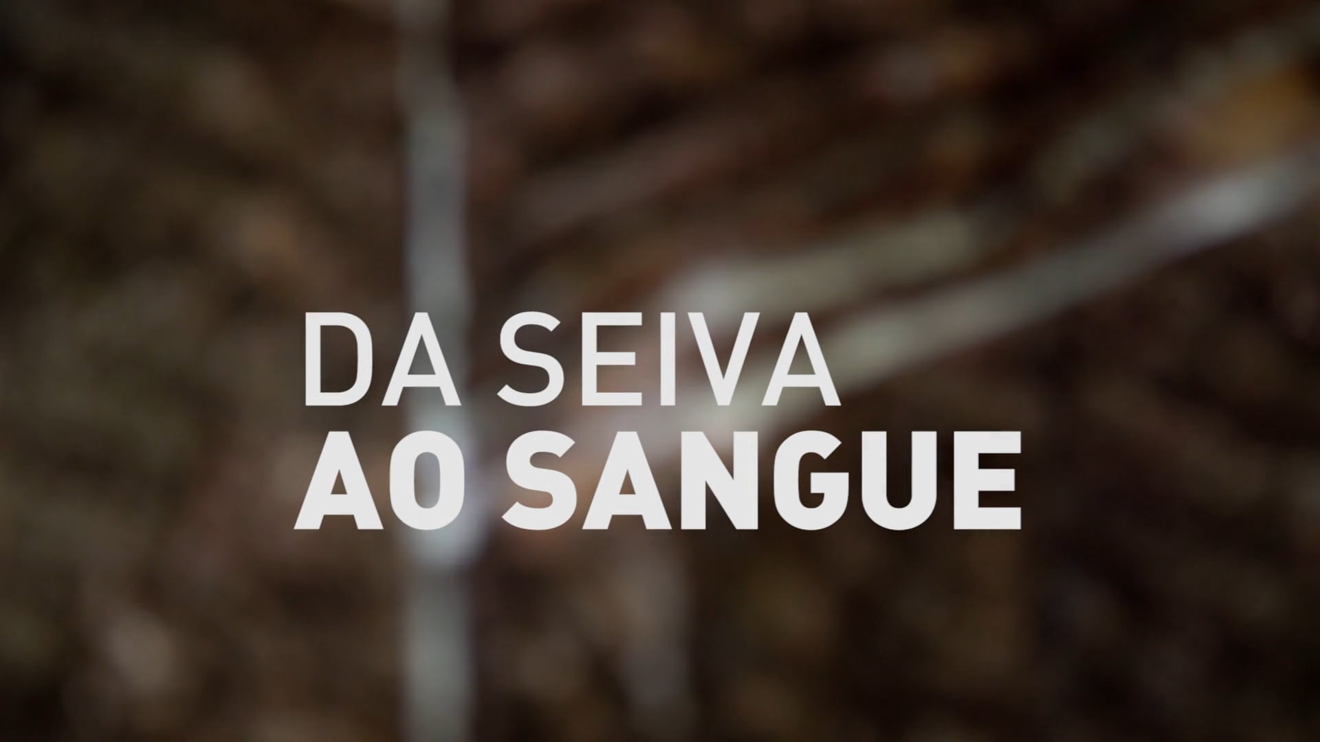 Da Seiva ao Sangue