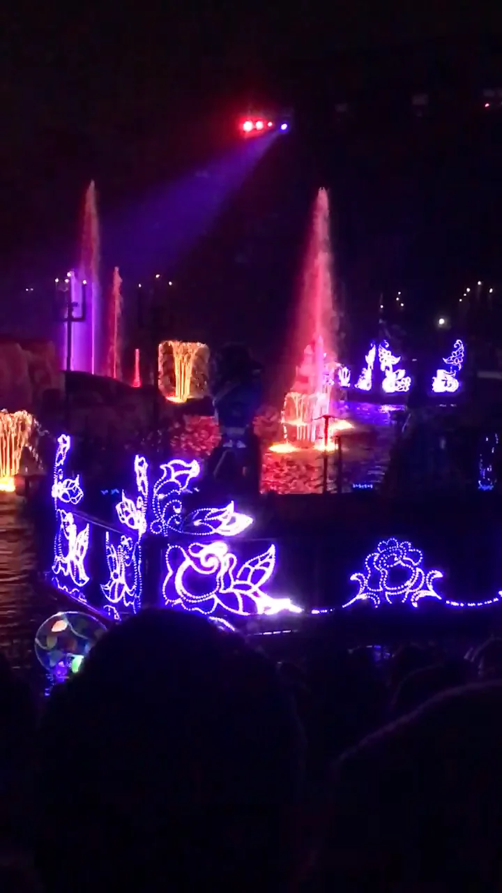 Fantasia at Disney World  