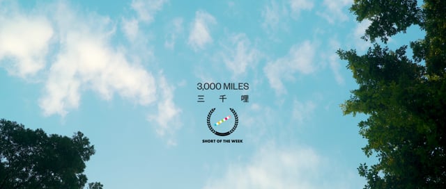 boeren voor mij Ook Short of the Week - 3000 Miles - One Room With A View