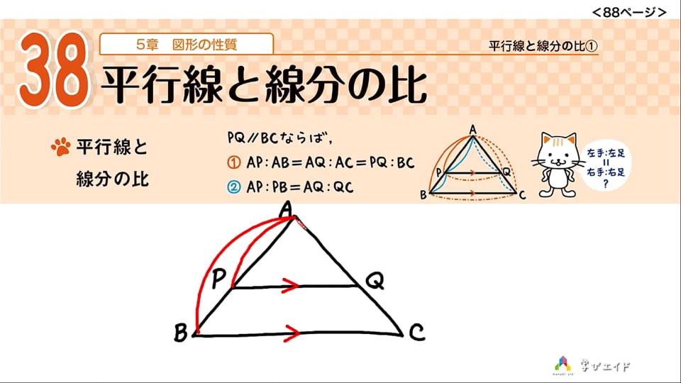 5 4 平行線と線分の比 ホンわか先生