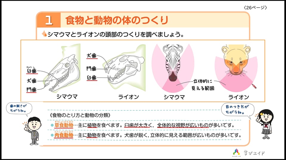 3 1 動物の体のつくりを調べよう ホンわか先生