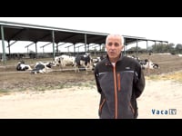 Reportaje en la ganadería Cabo Gómez (Toledo, 2017)