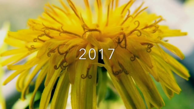 Mein Jahresrückblick 2017 mit Marginalien