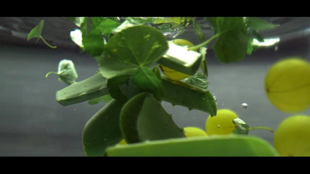 Kumarika Aloevera