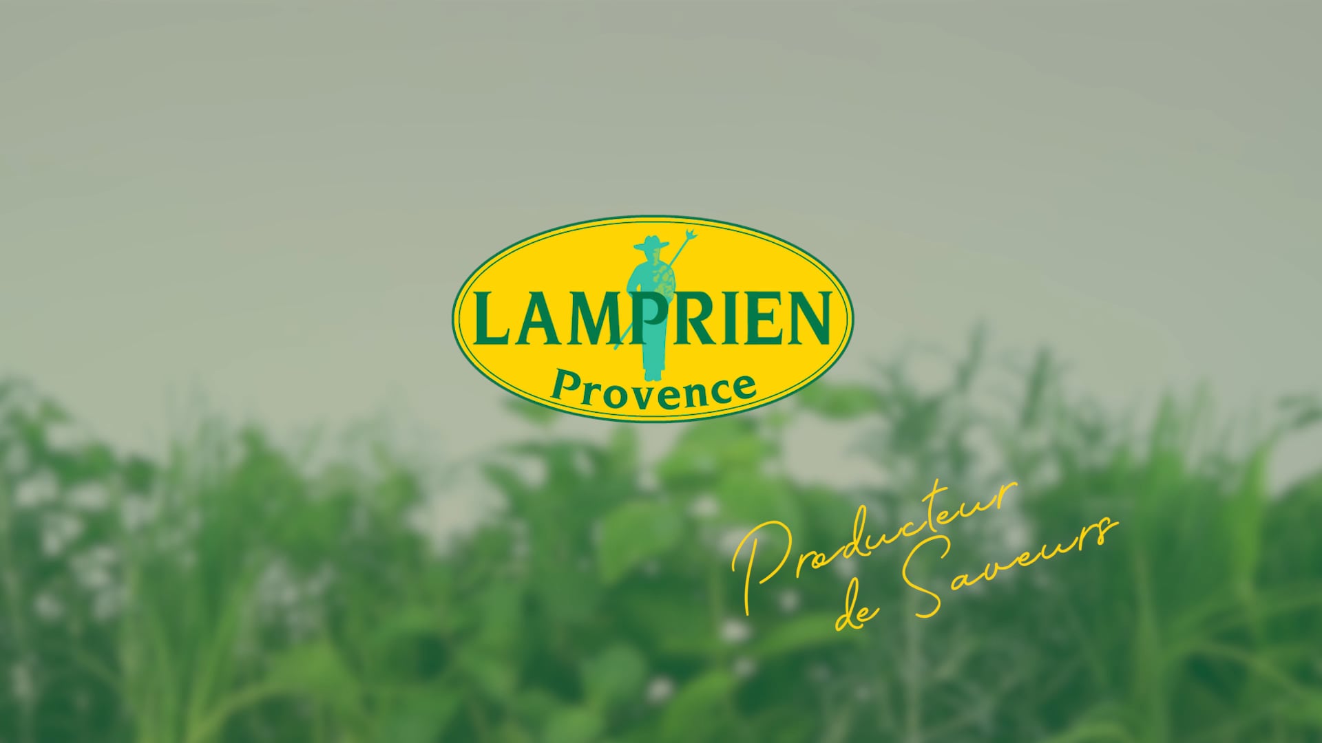 LAMPRIEN PROVENCE