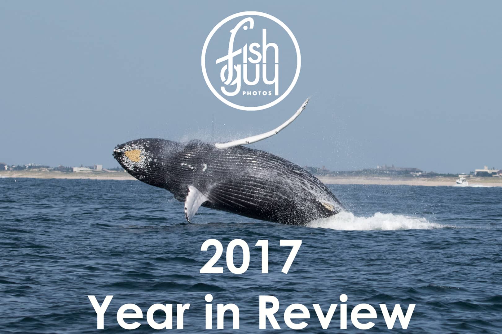 Fish Guy Photos 2017 Year in Review on Vimeo