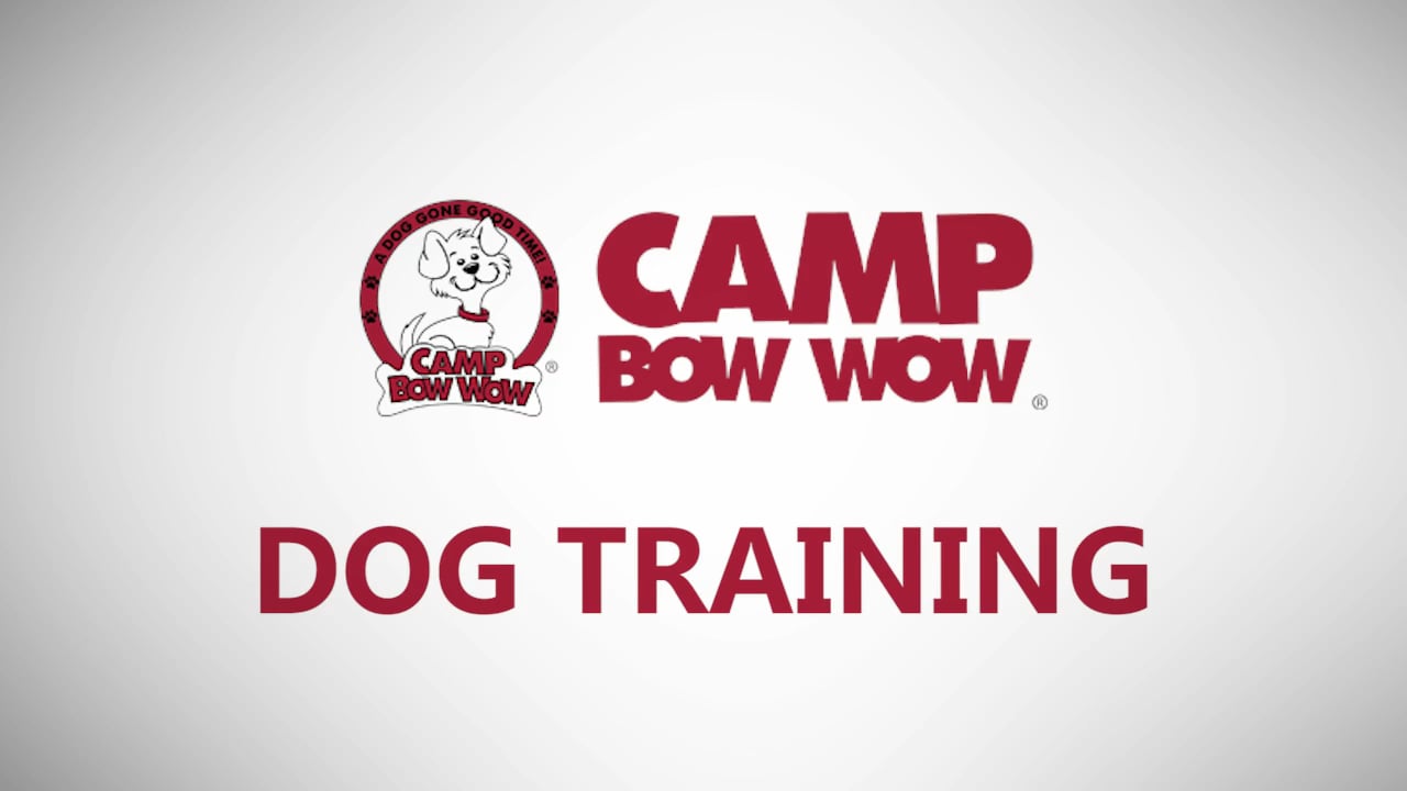 Camp Bow Wow Training on Vimeo