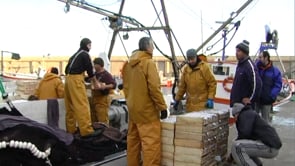 Veda de pesca de peix blau