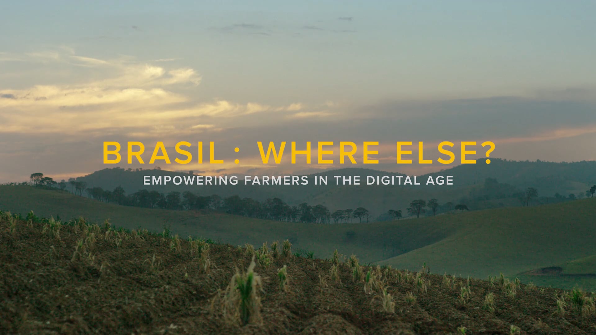 Be Brasil - Agriculture