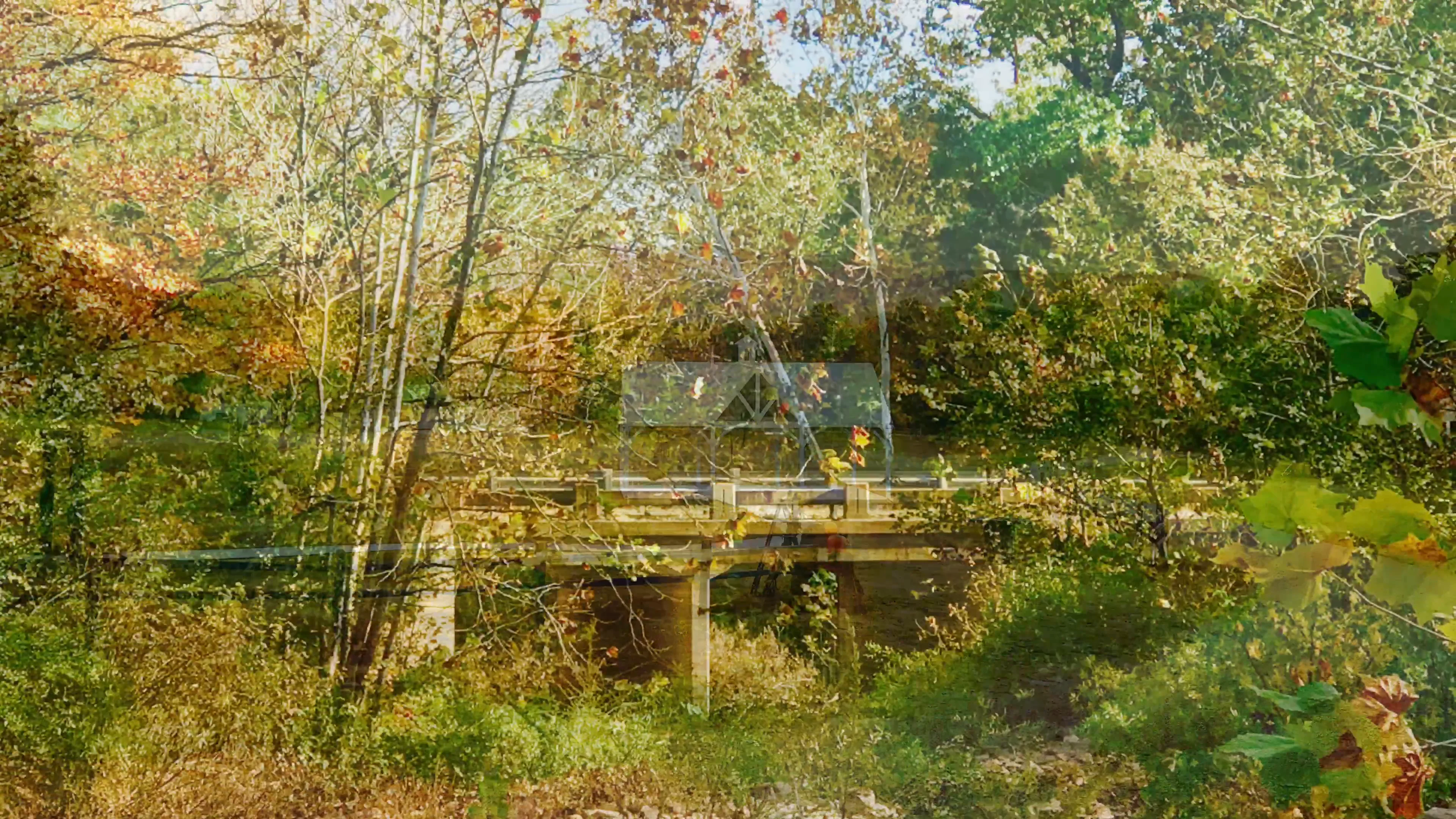 Beautiful Talihina Area! on Vimeo