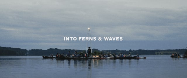 Into Ferns & Waves
